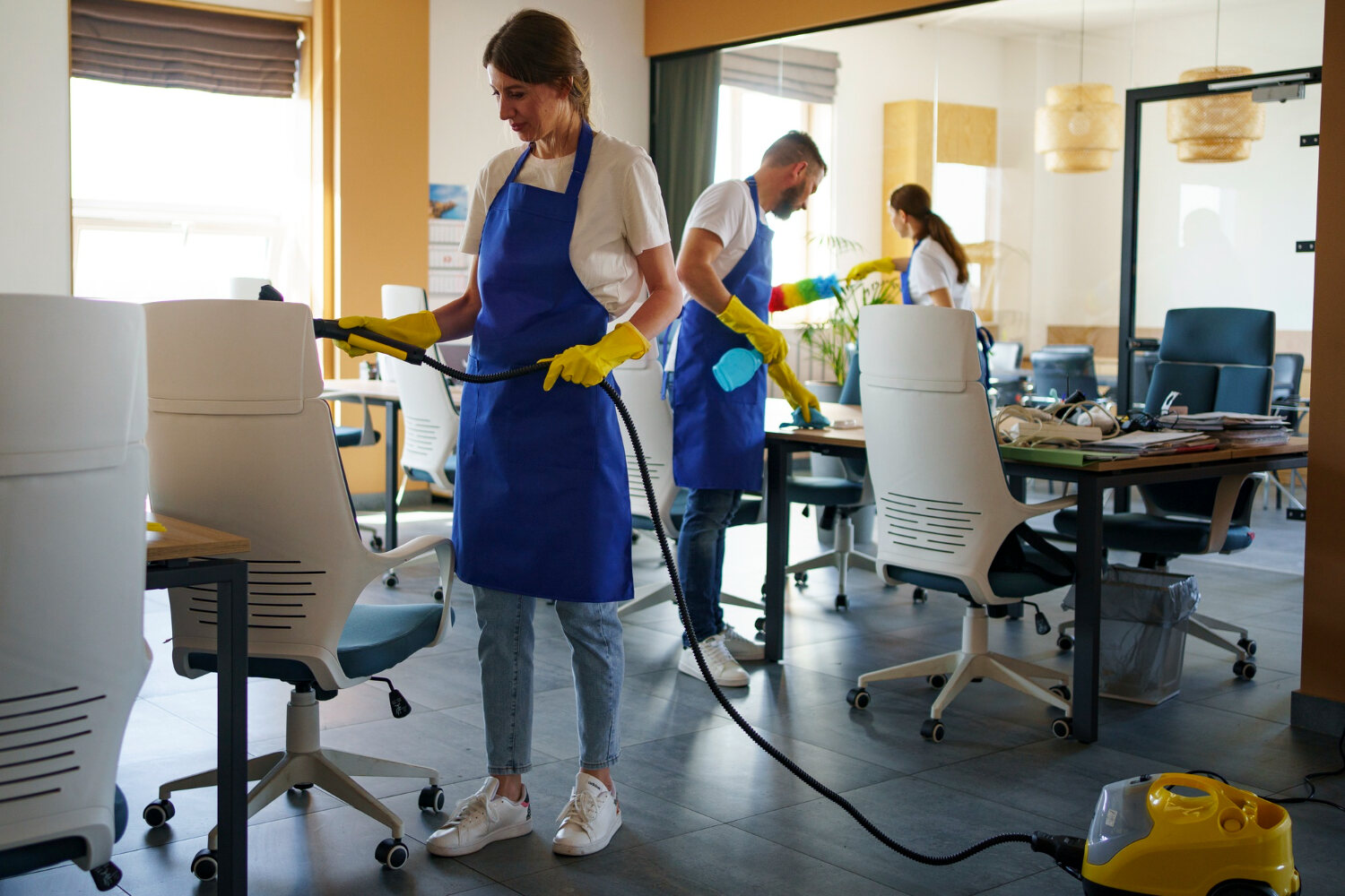 Kitchen and Dining Cleaning in Brighton, Michigan